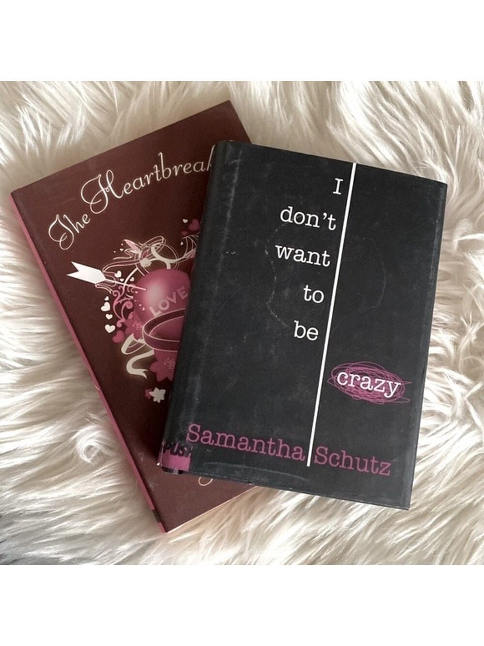 Young Adult novels book bundle